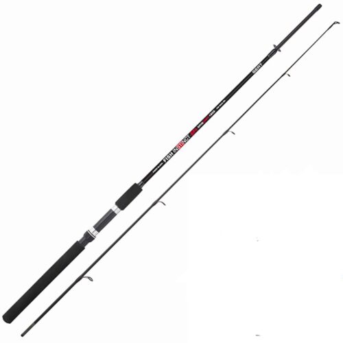 CANNE SPINNING SERT fish instinct 2.70m 80gr max