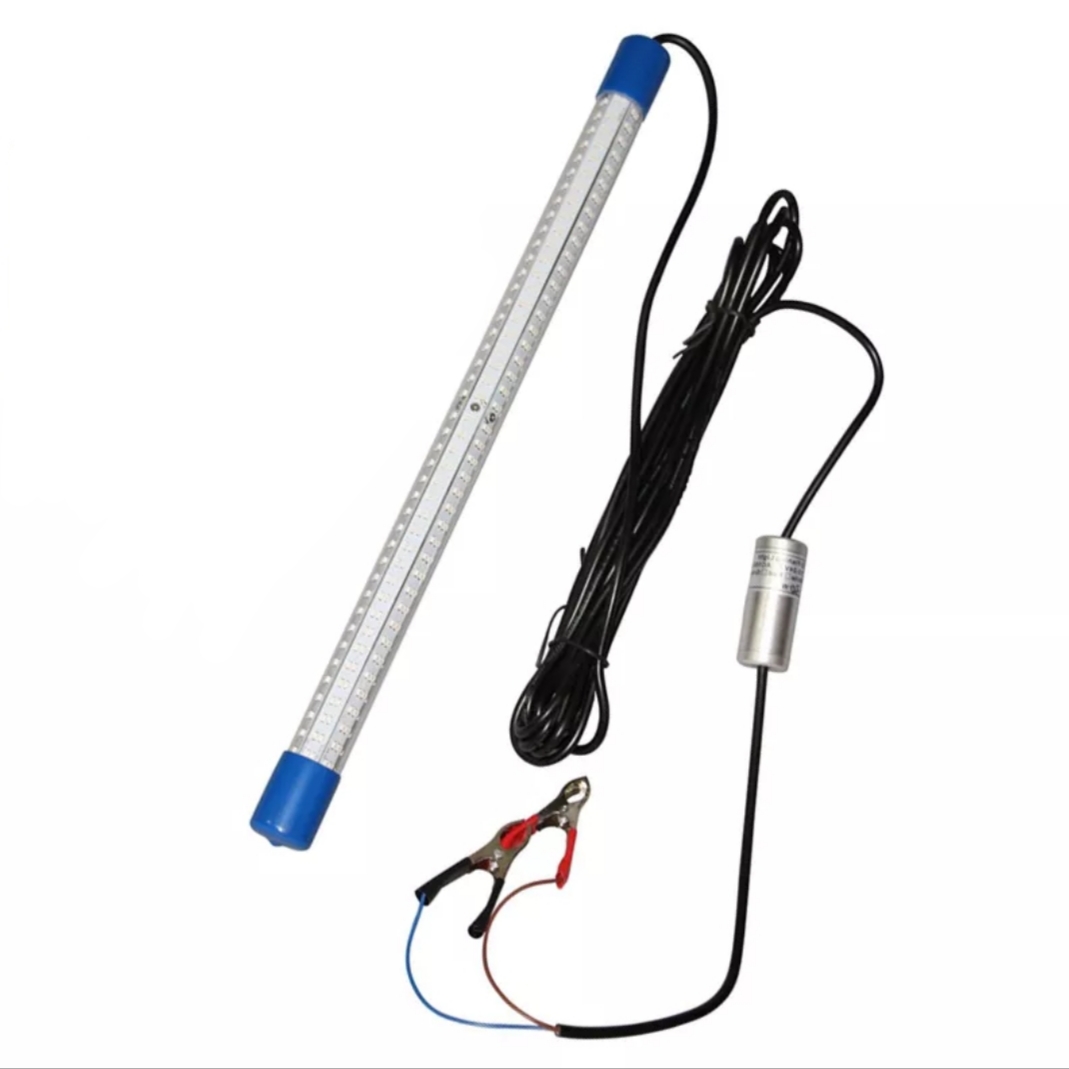 Lampe led calamar et poisson bleu