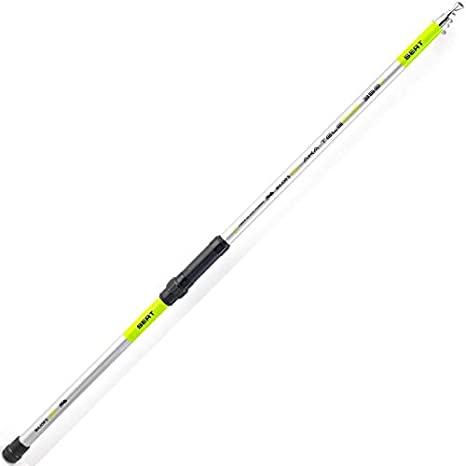 SERT Canne Spinning AKA TELEPIKE 3.50m