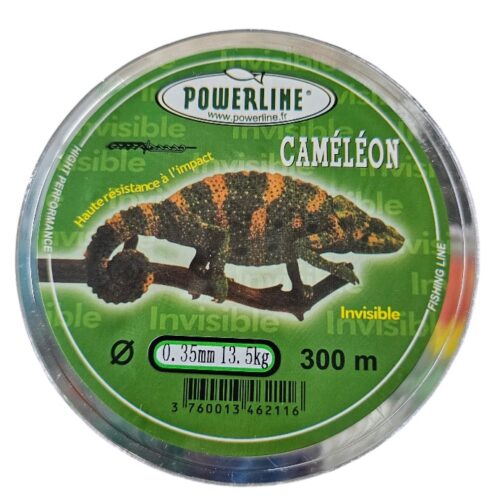 Fil caméléon 0.35mm 300m