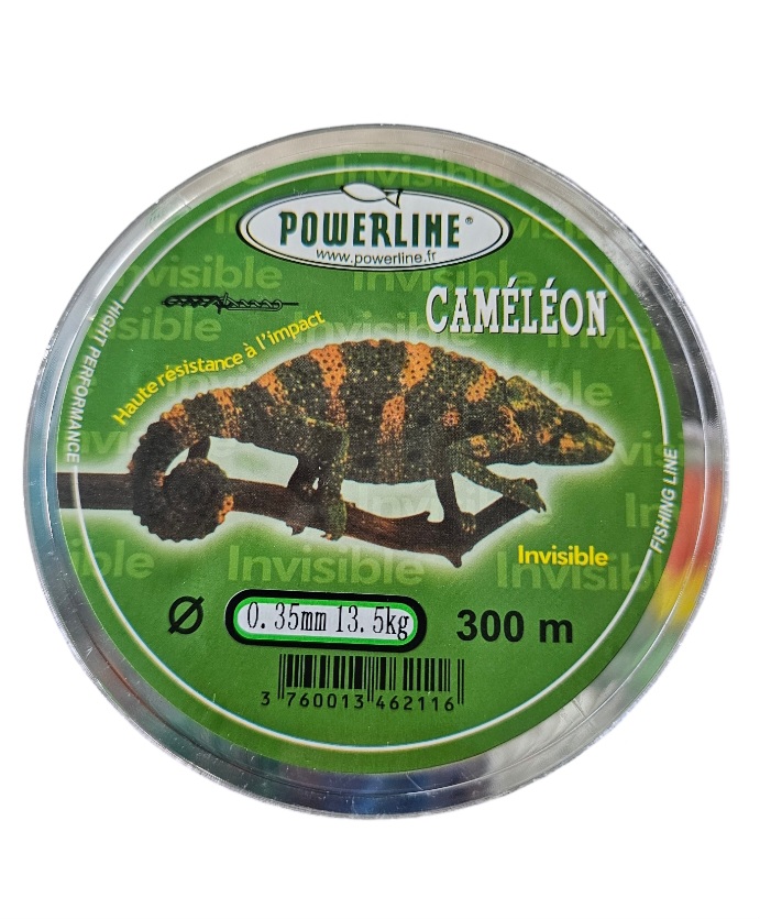Fil caméléon 0.35mm 300m