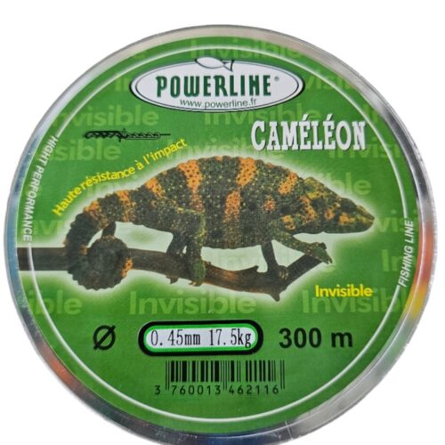 Fil caméléon 0.45mm 300m