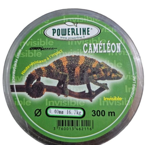 Fil caméléon 0.40mm 300m
