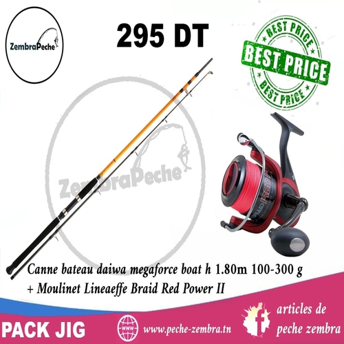 Pack jig moulinet lineaeffe red power +canne daiwa megaforce 100-300gr