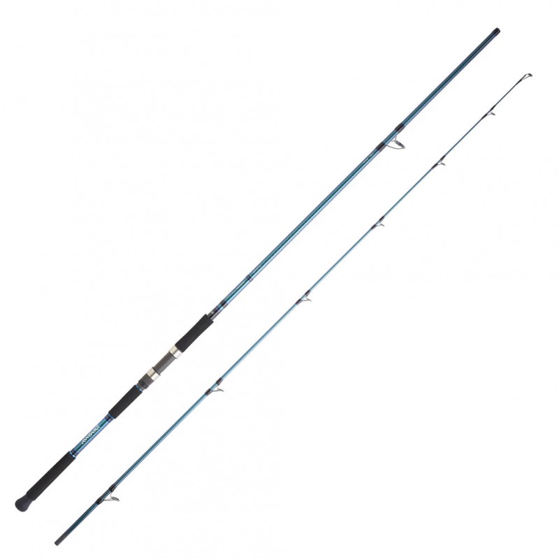 CANNE SHORE JIGGING DAIWA GRANDWAVE 2.90 M 28-84 G 962 XH