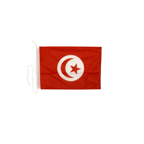 Drapeau tunisien pour vesite techniques