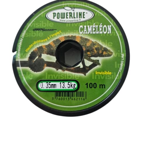 Fil caméléon 0.35mm 100m