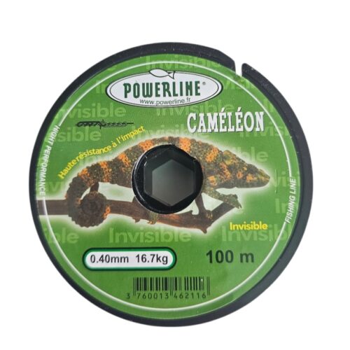 Fil caméléon 0.40mm 100m