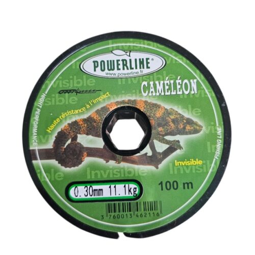 Fil caméléon 0.30mm 100m