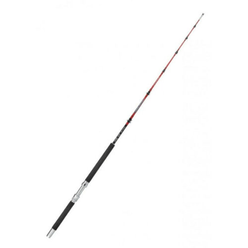 Canne kali holo 1.65m 30-50lb