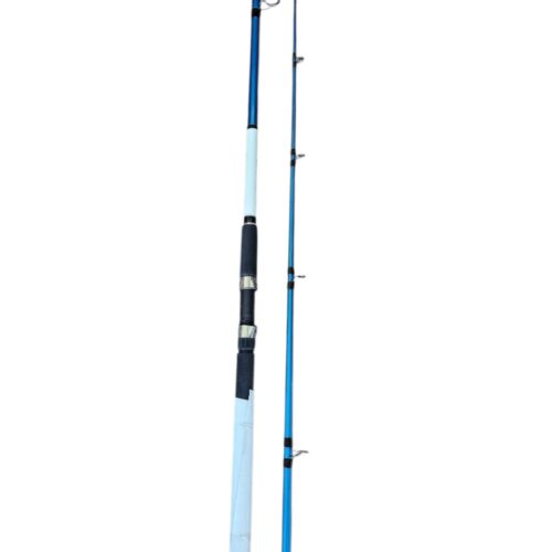 Canne banax 2.70m 100-300gr