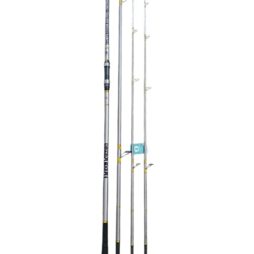 Canne pro pesca compétition 4.2m 100-250gr double pointe